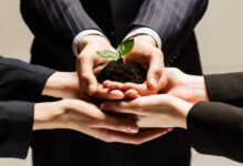 Photo of Бизнес и экологическая ответственность