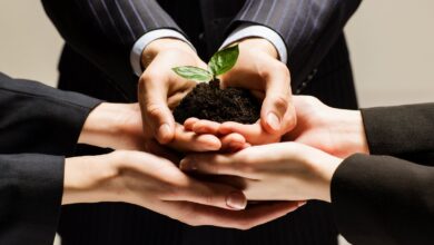 Photo of Бизнес и экологическая ответственность