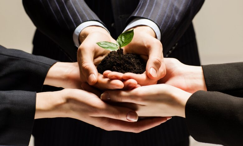 Photo of Бизнес и экологическая ответственность