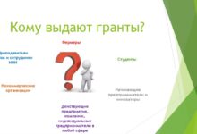 Photo of Перспективы развития малого бизнеса